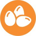 Eggs Eggs