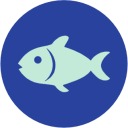 Fish Fish