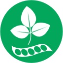 Soy Soy